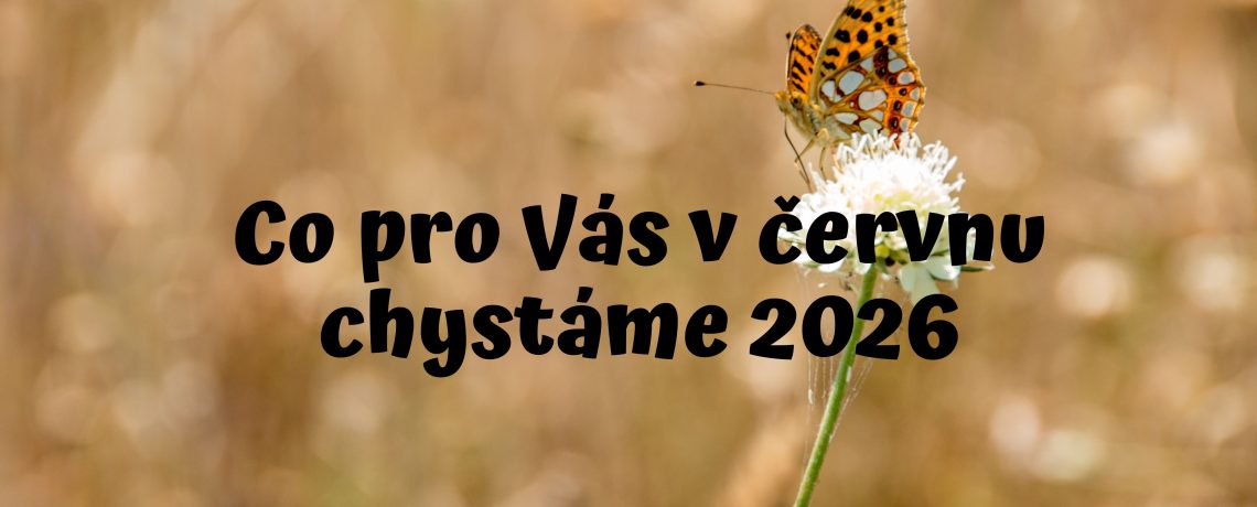 Co pro Vás chystáme: